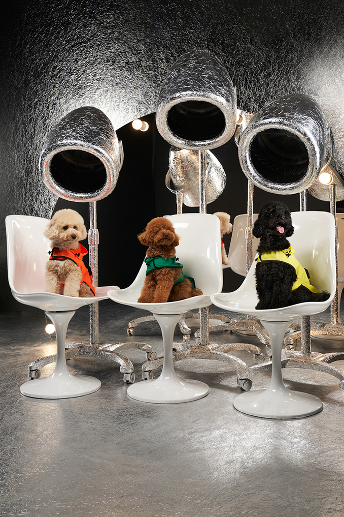 Moncler Genius Poldo Dog Couture Project 2020 | Moncler